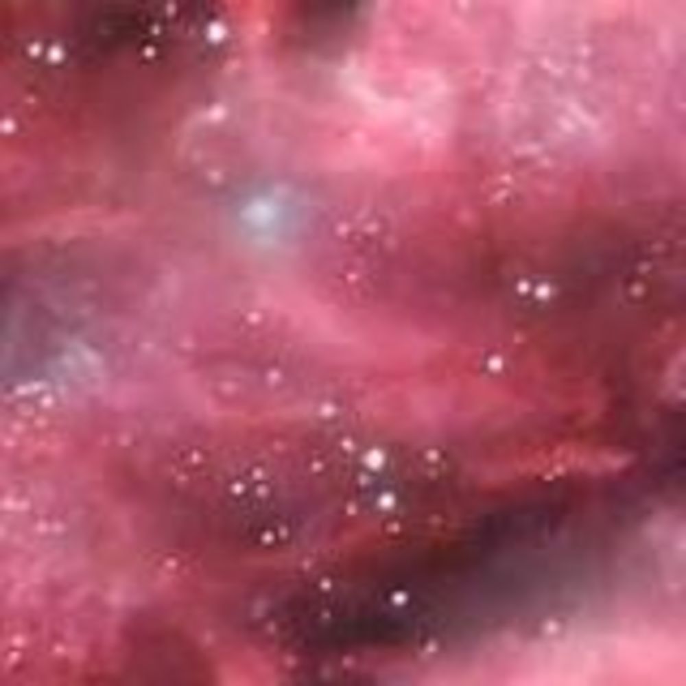 Meet your Posher, Vivian